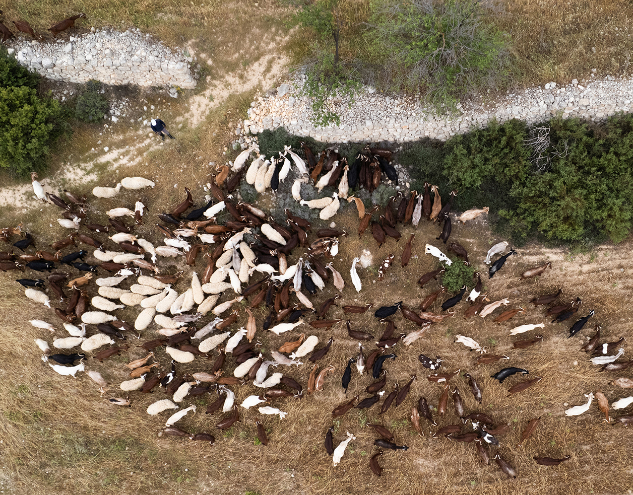 G&I Keses - Ποιοι Είμαστε