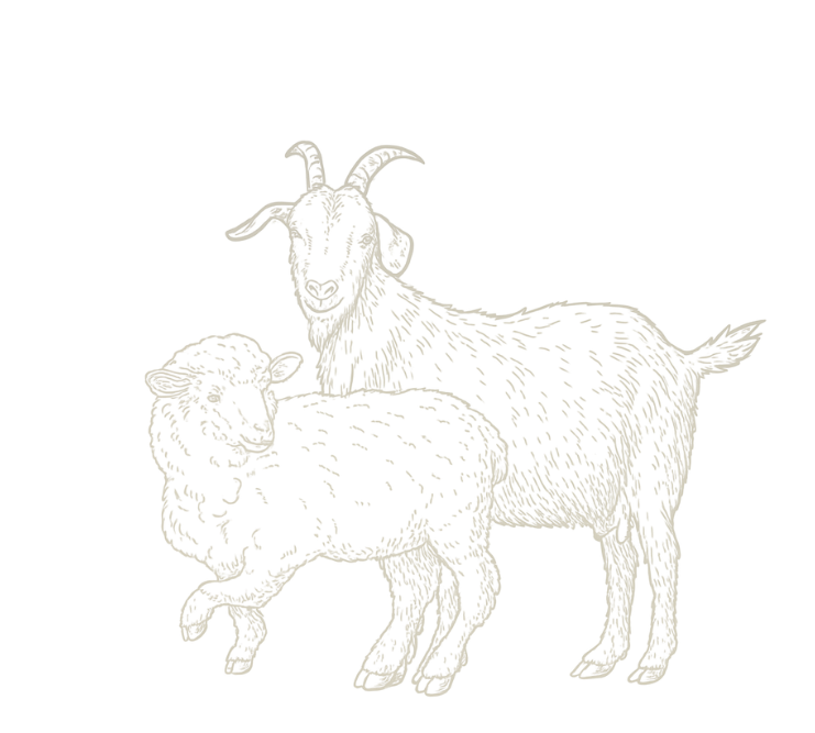 Traditional Cypriot Scene